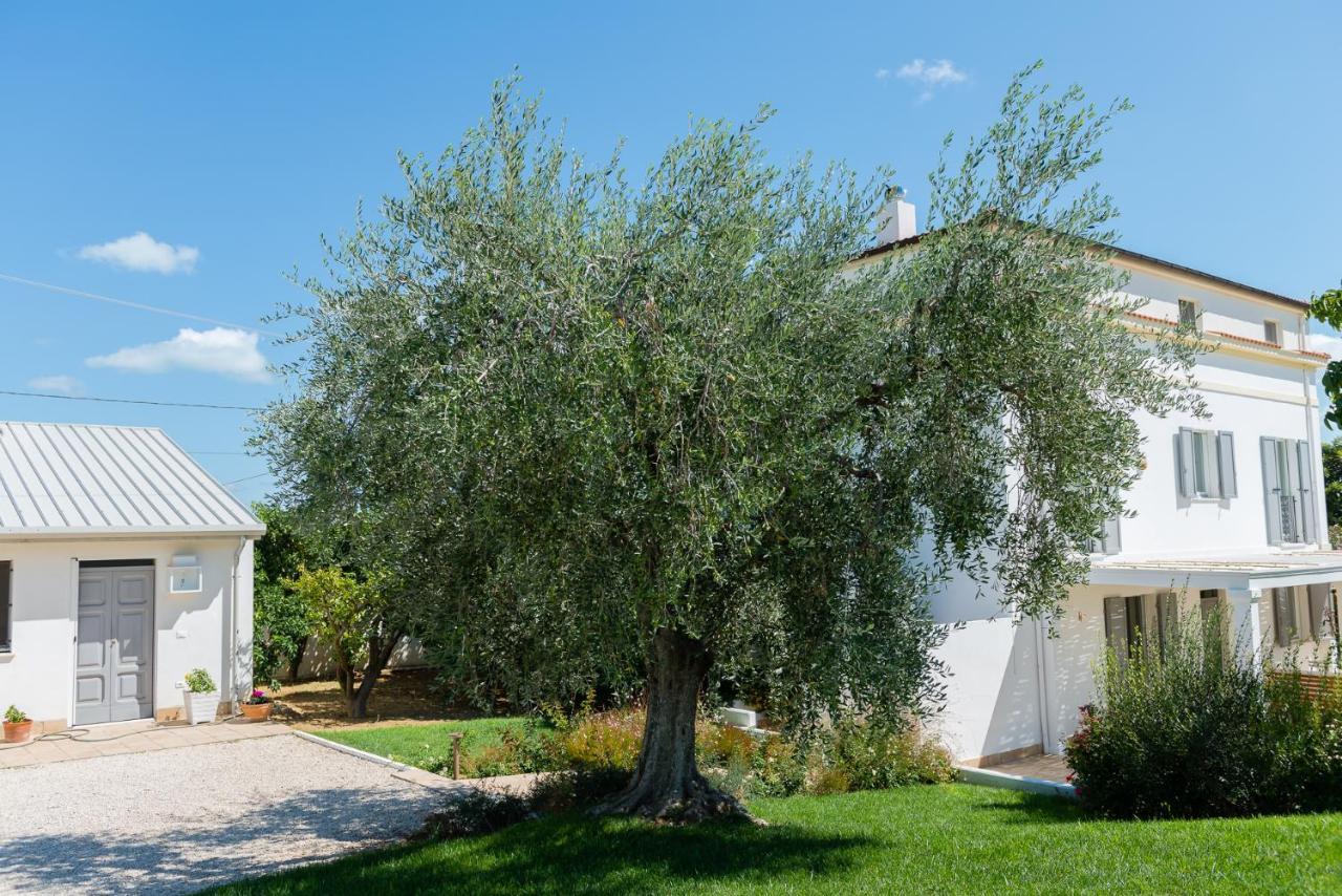 B&B Casale Savini Ortona Exteriör bild